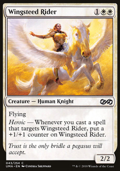 Wingsteed Rider